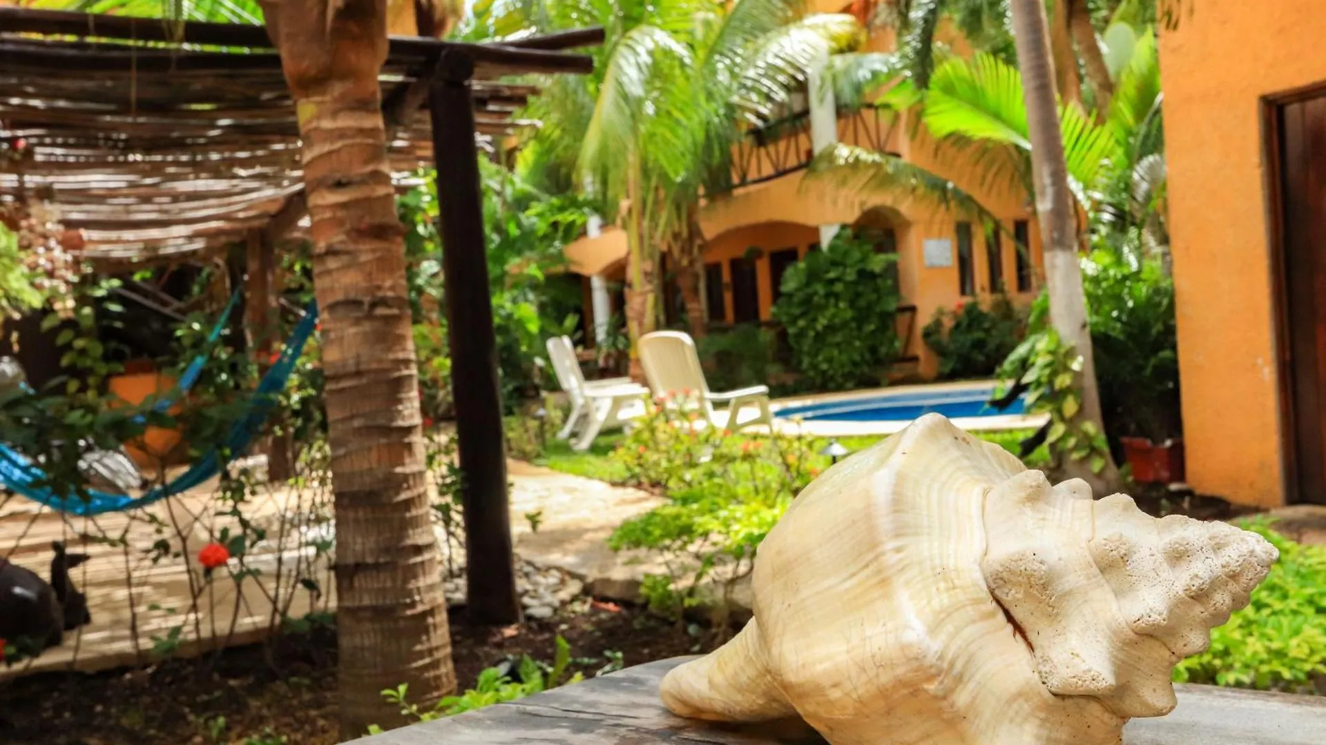 Hotel Bosque Caribe, 5Th Av. Zone Playa del Carmen