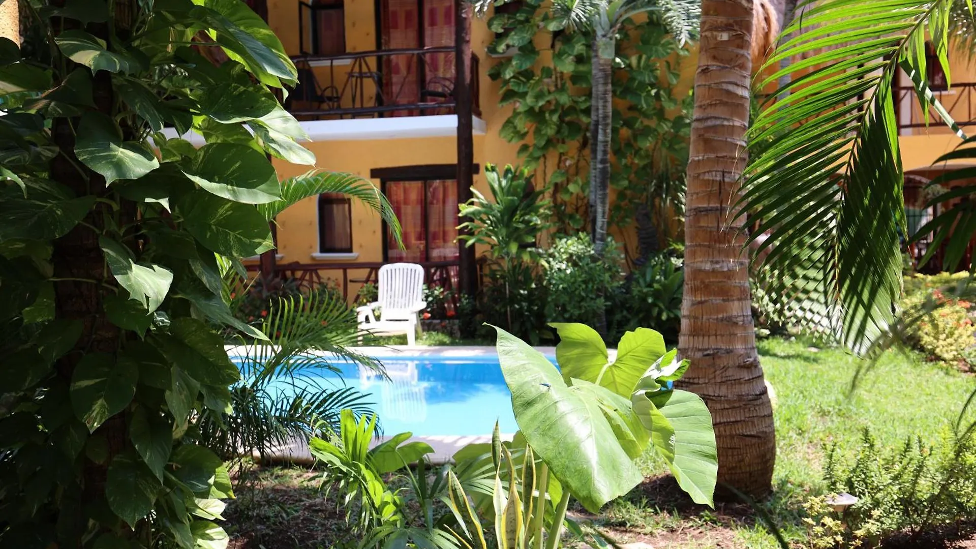 Hotel Bosque Caribe, 5Th Av. Zone Playa del Carmen 3*,  Mexico
