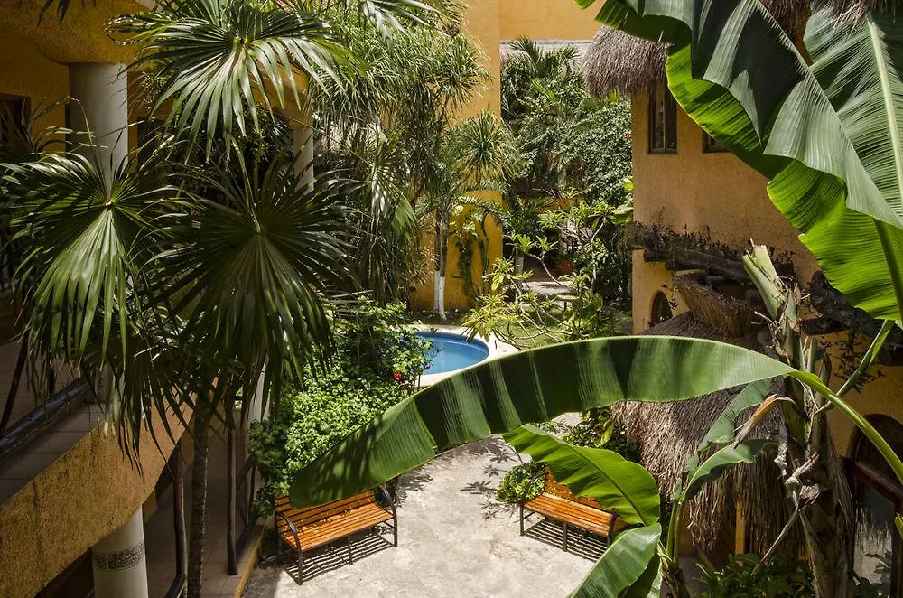 Hotel Bosque Caribe, 5Th Av. Zone Playa del Carmen